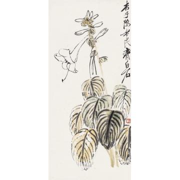 齐白石牵牛花镜片设色纸本