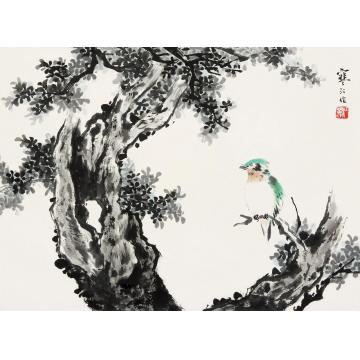 江寒汀古柏小鸟镜片设色纸本