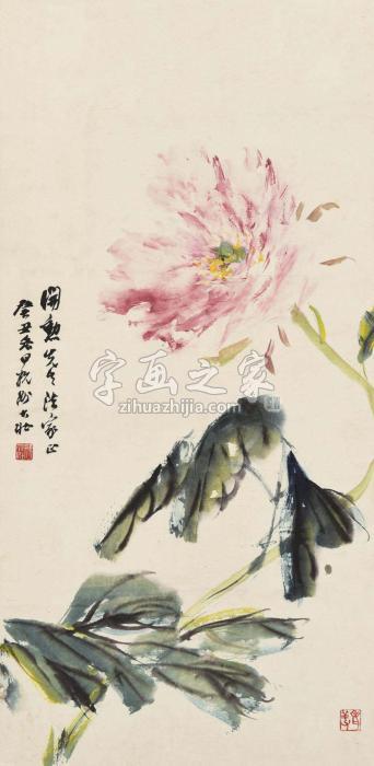 张大壮癸丑（1973）年作独艳立轴设色纸本字画之家