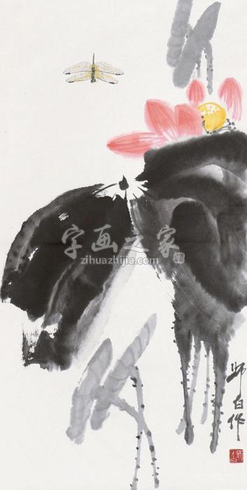 娄师白荷塘蜻蜓立轴纸本字画之家