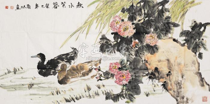 熊显林秋水芙蓉字画之家