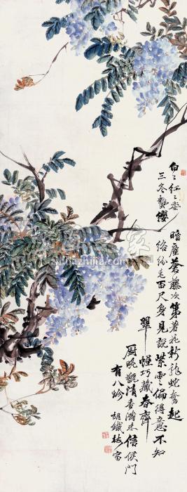 胡铁梅藤萝立轴设色纸本字画之家