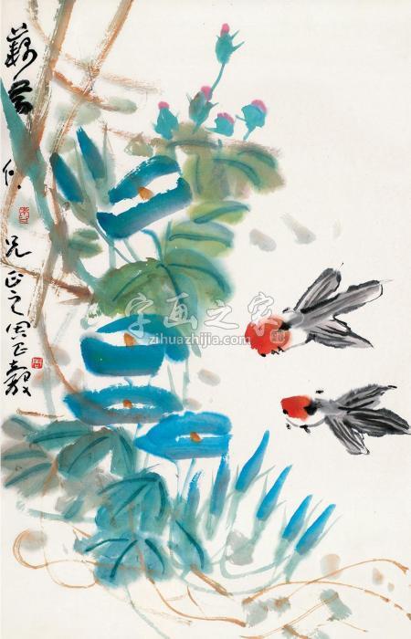 周昌谷鱼乐图立轴设色纸本字画之家