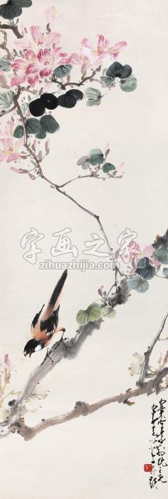 赵少昂花鸟字画之家