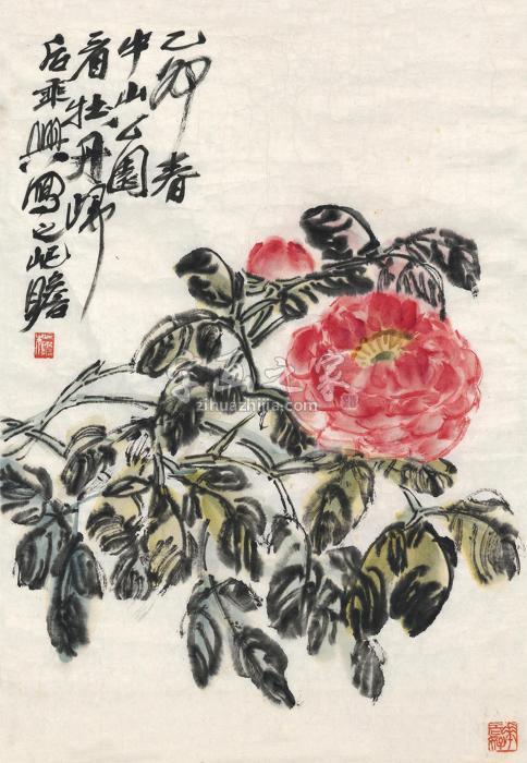 朱屺瞻1975年作牡丹图画心设色纸本字画之家