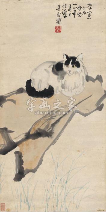 徐悲鸿1935年作猫石图镜片设色纸本字画之家
