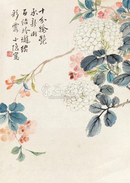 徐小隐十分娇艳镜片纸本字画之家