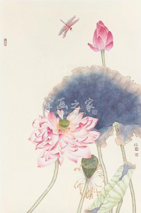 韩非蜻蜓荷花镜心设色纸本字画之家
