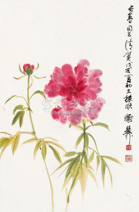 谢稚柳戊辰（1988）年作花卉立轴设色纸本字画之家