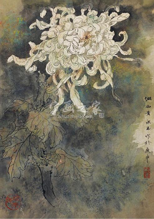 黄永玉花卉字画之家