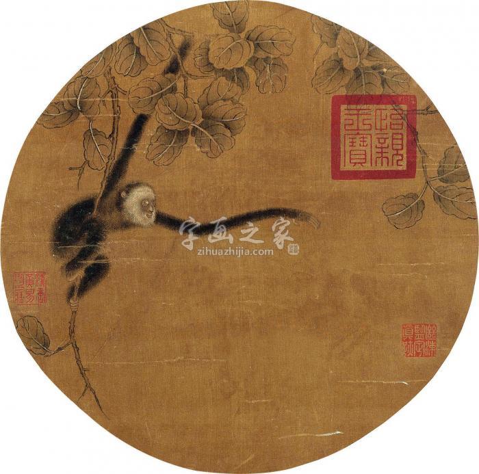 佚名灵猿图镜框设色绢本字画之家