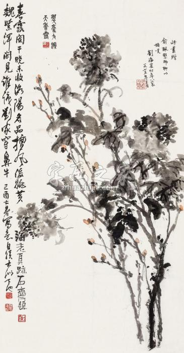 刘海粟己酉（1969）年作牡丹图镜片设色纸本字画之家