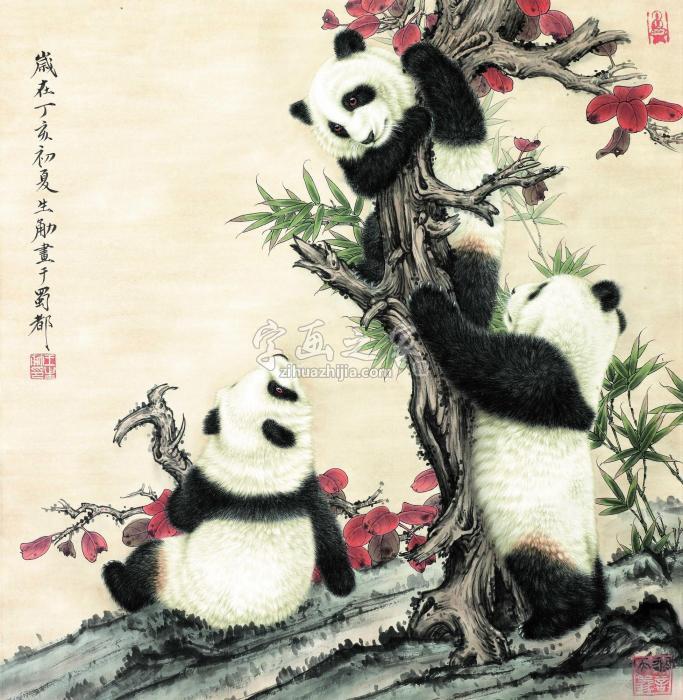 王生觔熊猫镜心（片）设色纸本字画之家
