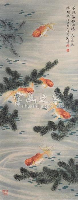 陶冷月金鱼立轴纸本字画之家