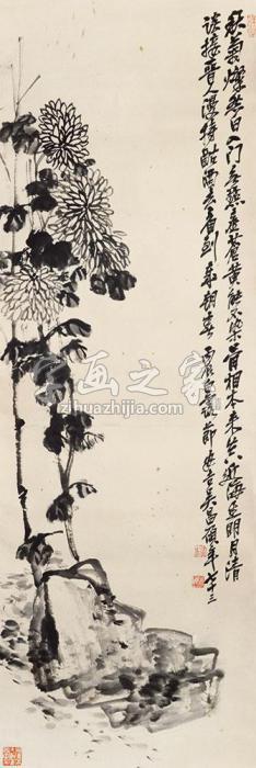 吴昌硕菊石图字画之家