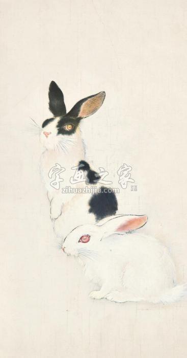 佚名双兔图立轴设色纸本字画之家