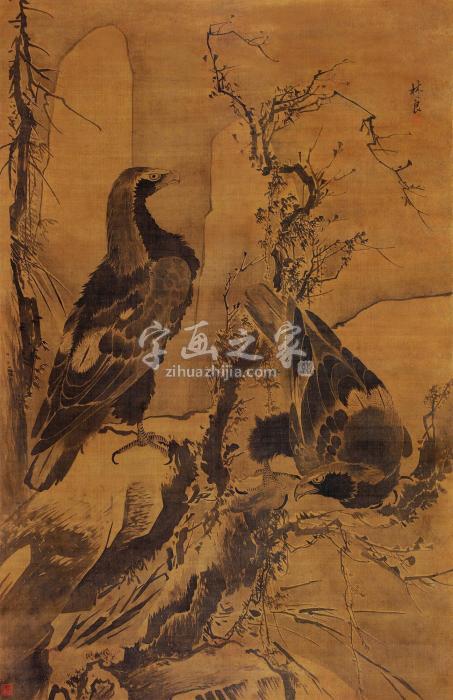 林良（传）	
	（传）双鹰图字画之家