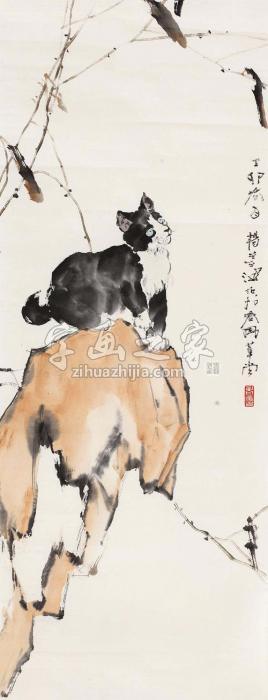 杨善深1987年作猫石图镜片设色纸本字画之家