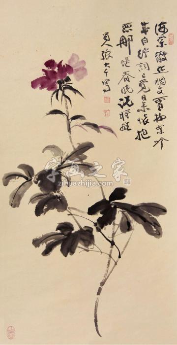 张大千花卉立轴设色纸本字画之家