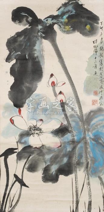 杨铭仪荷花字画之家