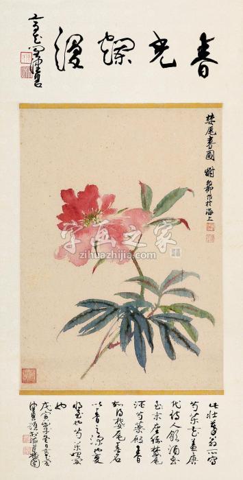 谢稚柳芍药字画之家