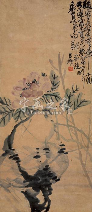 吴昌硕牡丹立轴设色纸本字画之家