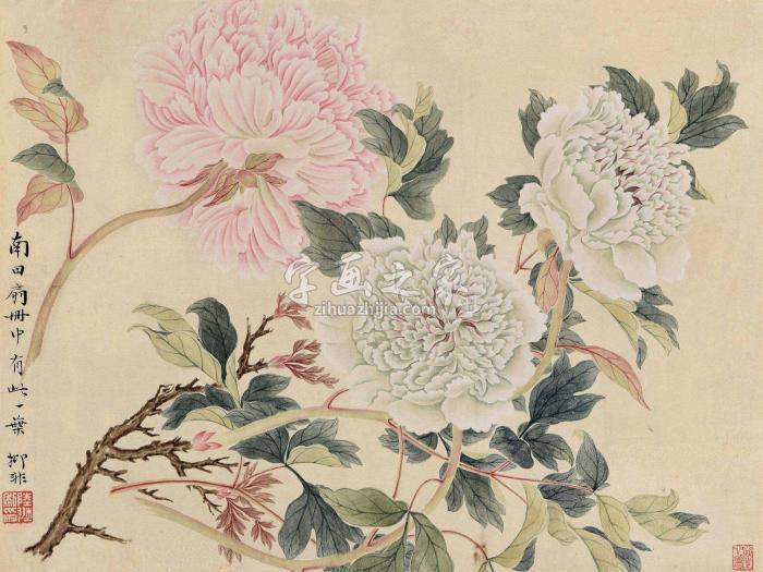 陆抑非花开富贵立轴纸本字画之家