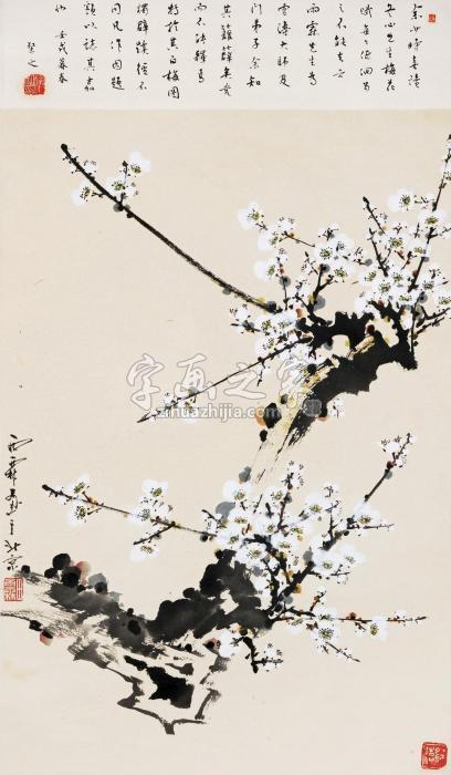 田雨霖白梅字画之家