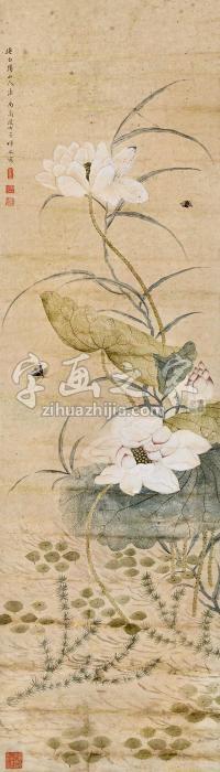 恽冰彩荷图立轴设色纸本字画之家