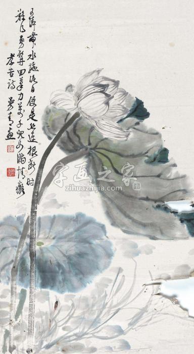 郑曼青荷花镜片设色纸本字画之家