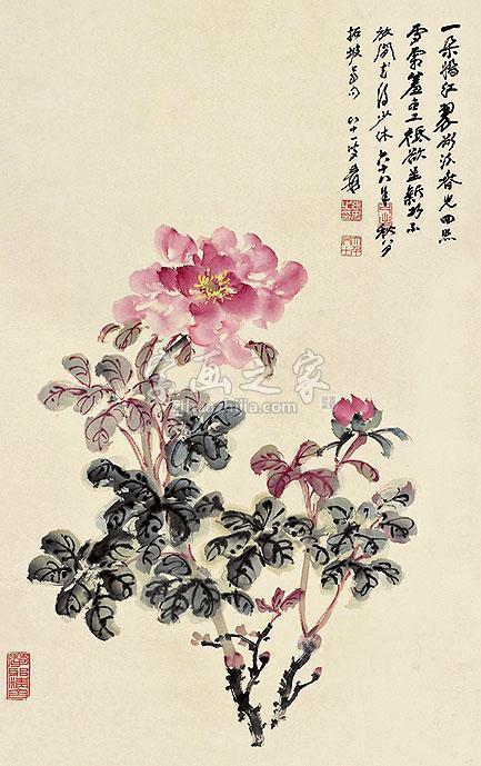 张大千花卉立轴字画之家