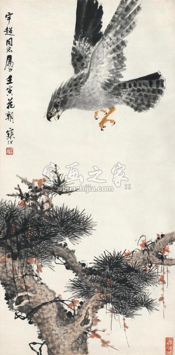 江寒汀1962年作松鹰图立轴设色纸本字画之家
