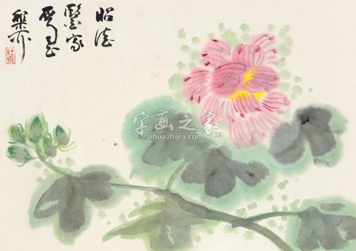 谢稚柳花卉立轴纸本字画之家