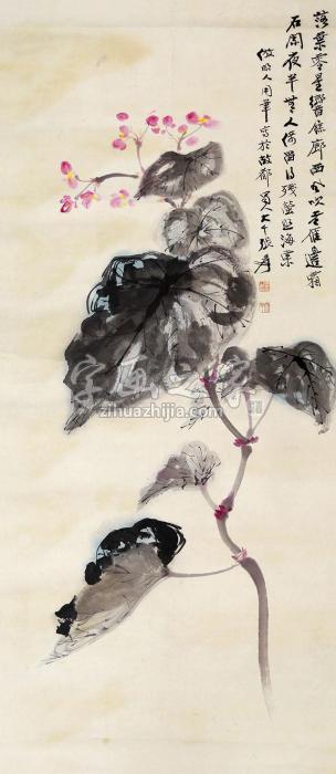 张大千花卉立轴纸本字画之家