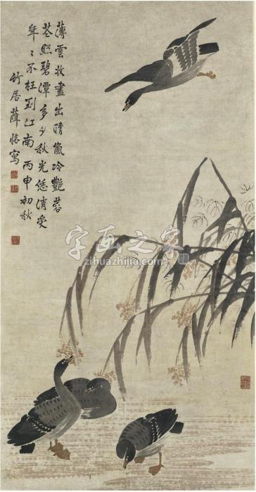 薛怀碧潭庐雁图立轴设色纸本字画之家
