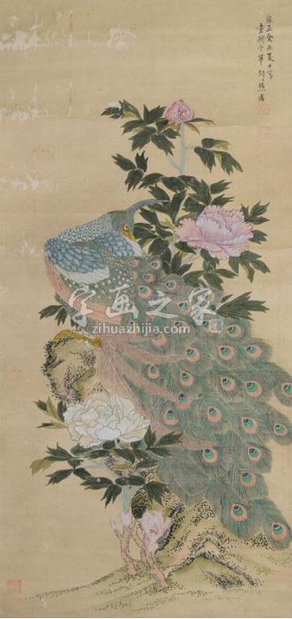 童衡孔雀图立轴绢本字画之家