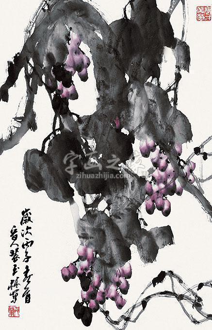 裴玉林葡萄立轴字画之家