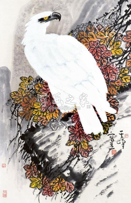 孙其峰白鹰立轴纸本字画之家