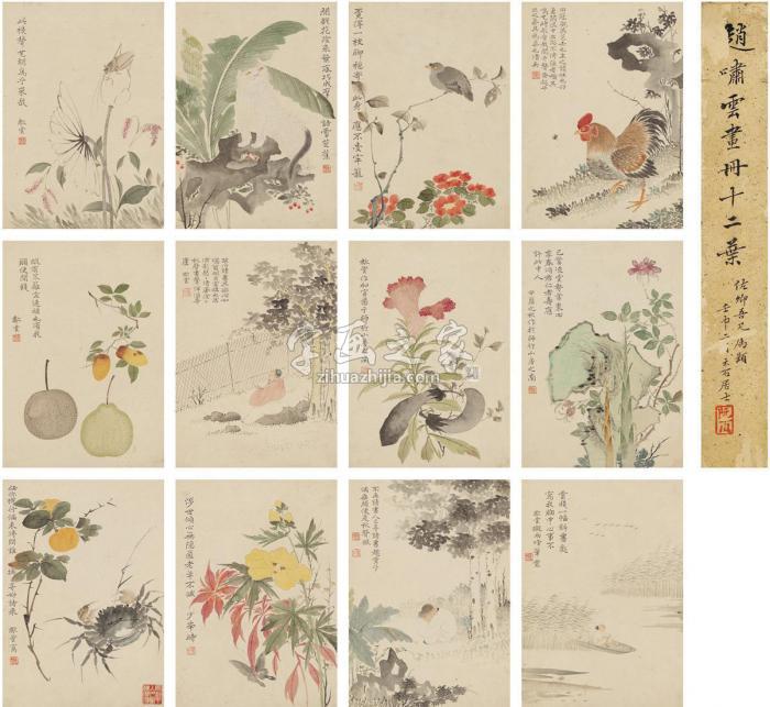赵箖花鸟册（十二页）册页设色纸本字画之家