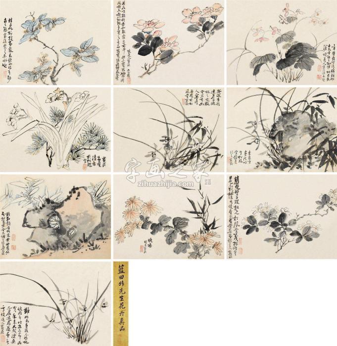 蓝瑛蓝田叔先生花卉真品册页（十开）设色纸本字画之家