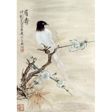 于非闇眉寿立轴纸本