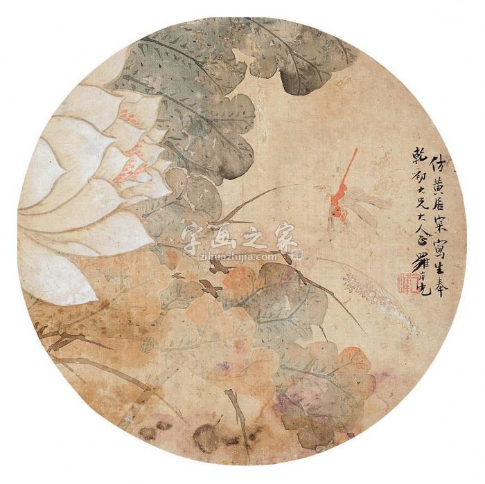 罗岸先荷花蜻蜓圆光设色绢本字画之家