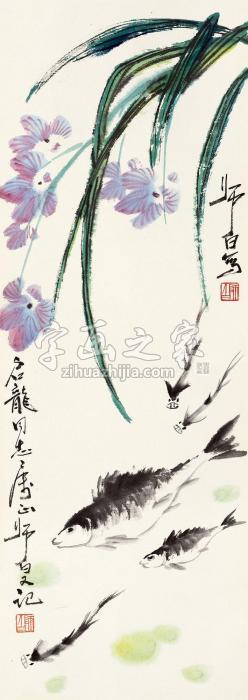 娄师白花卉游鱼镜心设色纸本字画之家