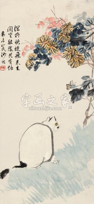 沙佐白猫图立轴纸本字画之家