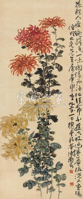 陈师曾1920年作菊花立轴设色绢本字画之家