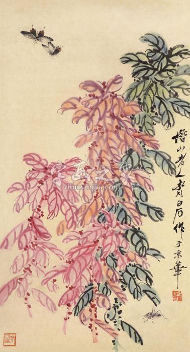 齐白石花卉草虫立轴设色纸本字画之家