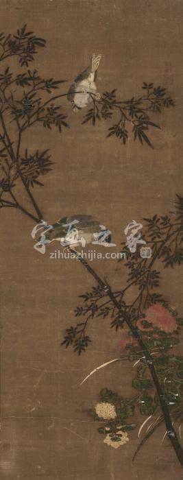 佚名秋花双禽立轴纸本字画之家