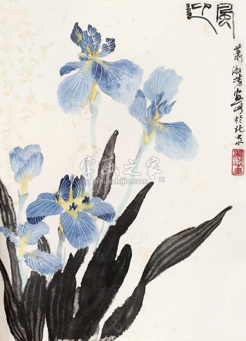 萧淑芳花卉镜心纸本设色字画之家