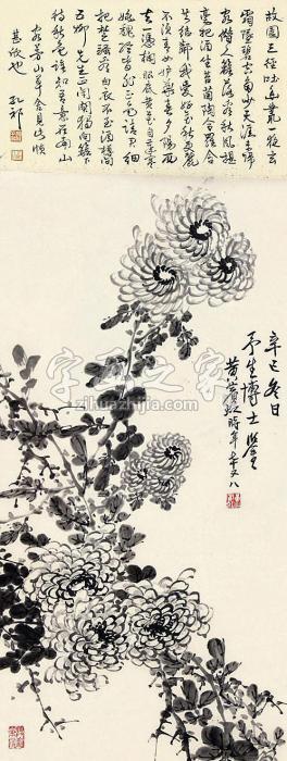 黄宾虹秋菊立轴纸本字画之家