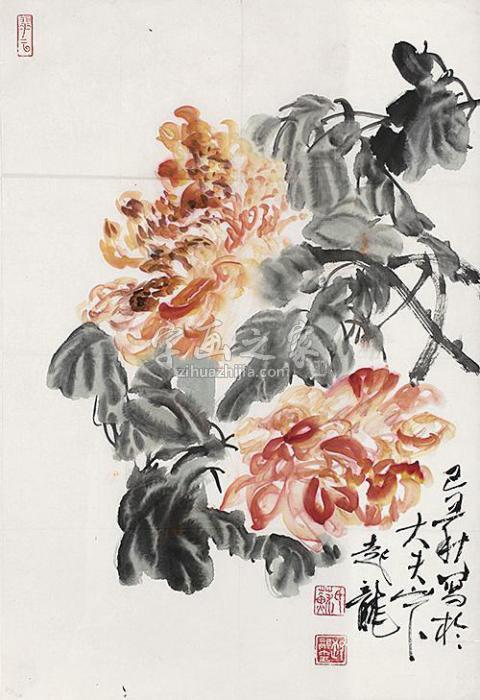 苏起龙花卉镜片设色纸本字画之家